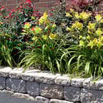 View Newcroft™ Retaining Wall System